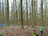 Hyacinten 2017 - 114.jpg